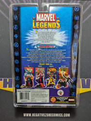 Marvel Legends Series III - Magneto