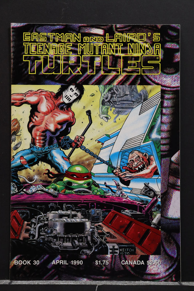 Teenage Mutant Ninja Turtles #30 (1990) - NM-