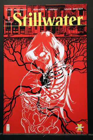 Stillwater #1 (2020) - NM+